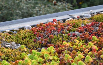 the cost of Shulista green roof installation