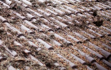 Shulista roof cleaning companies