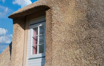 Shulista thatch roof disadvantages