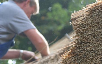 professional Shulista thatchers