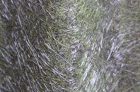 Shulista fibreglass roof work