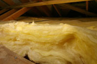 Shulista pitch roof insulation